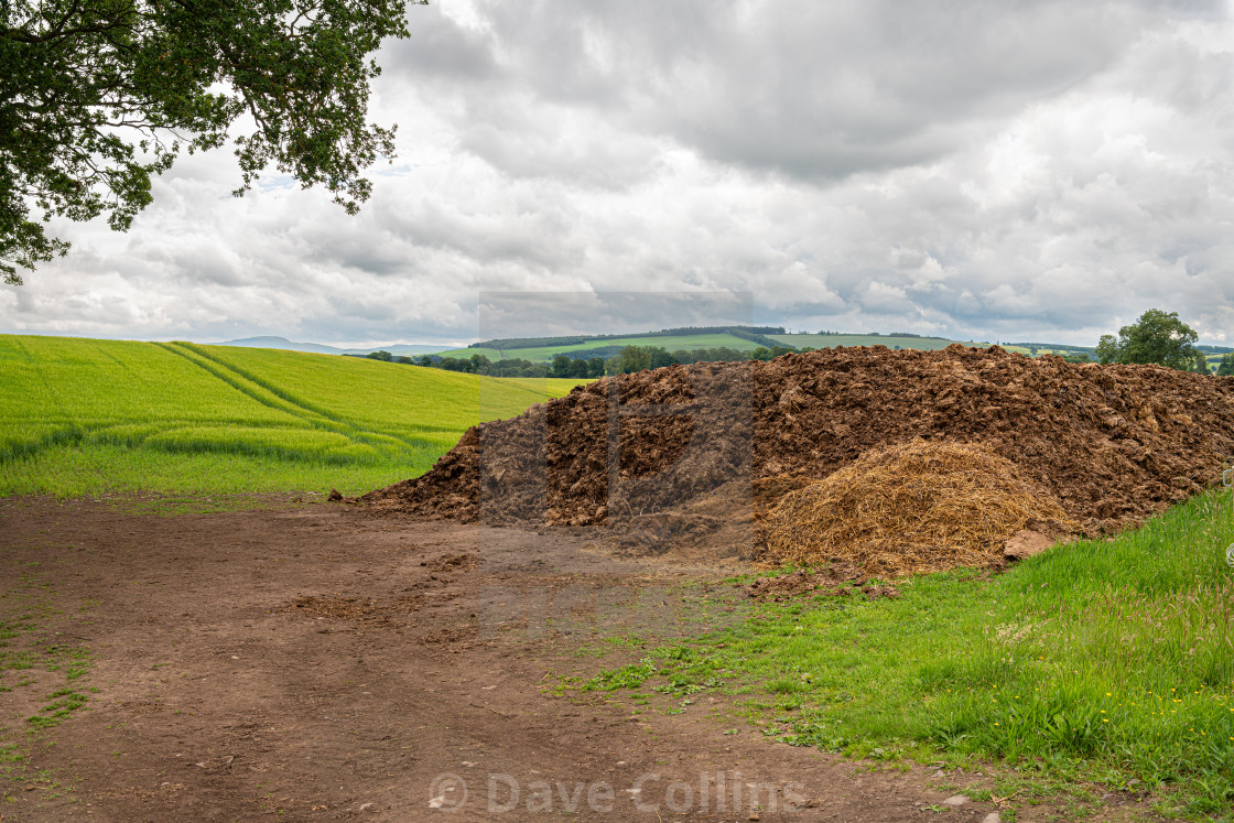 Dung Heap In Corner Of Barley Field License Download Or Print For 4 96 Photos Picfair