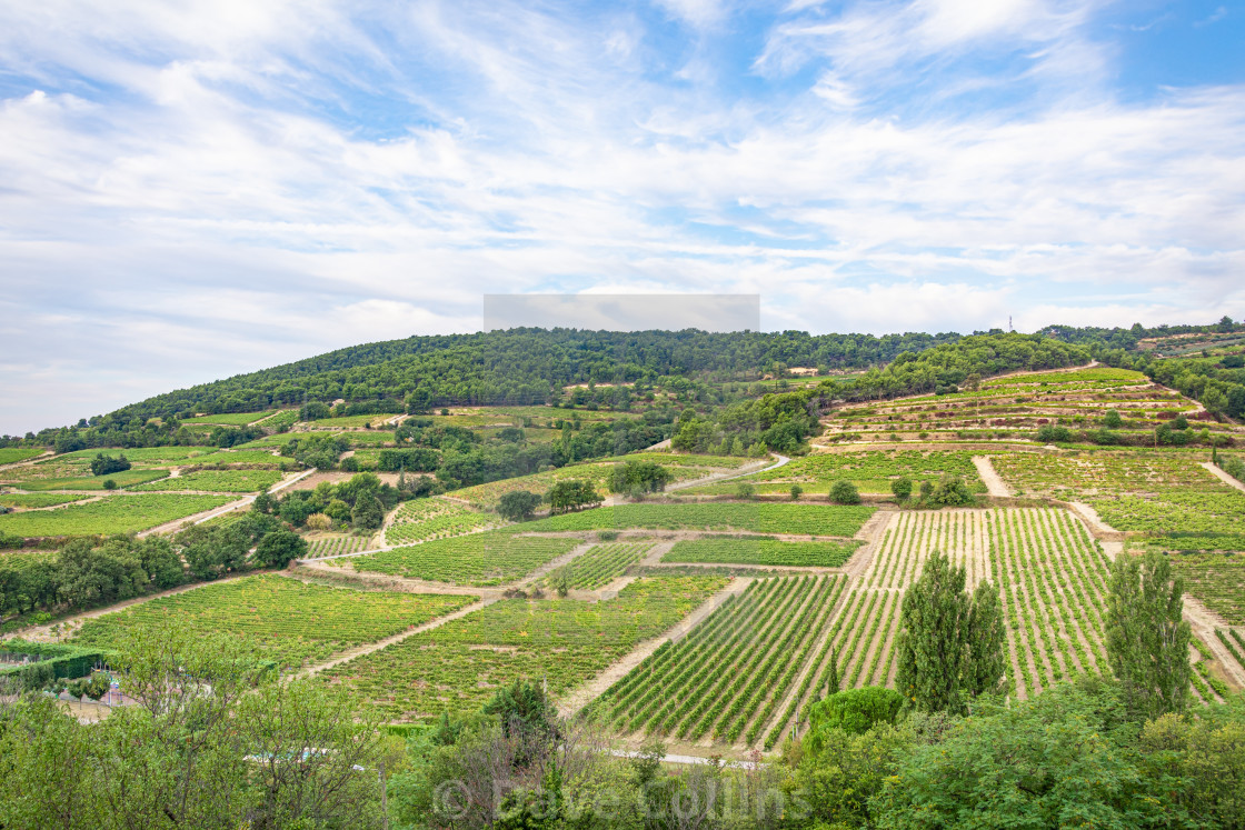 "Vines and Agriculture in the Rhone Valley, France" stock image