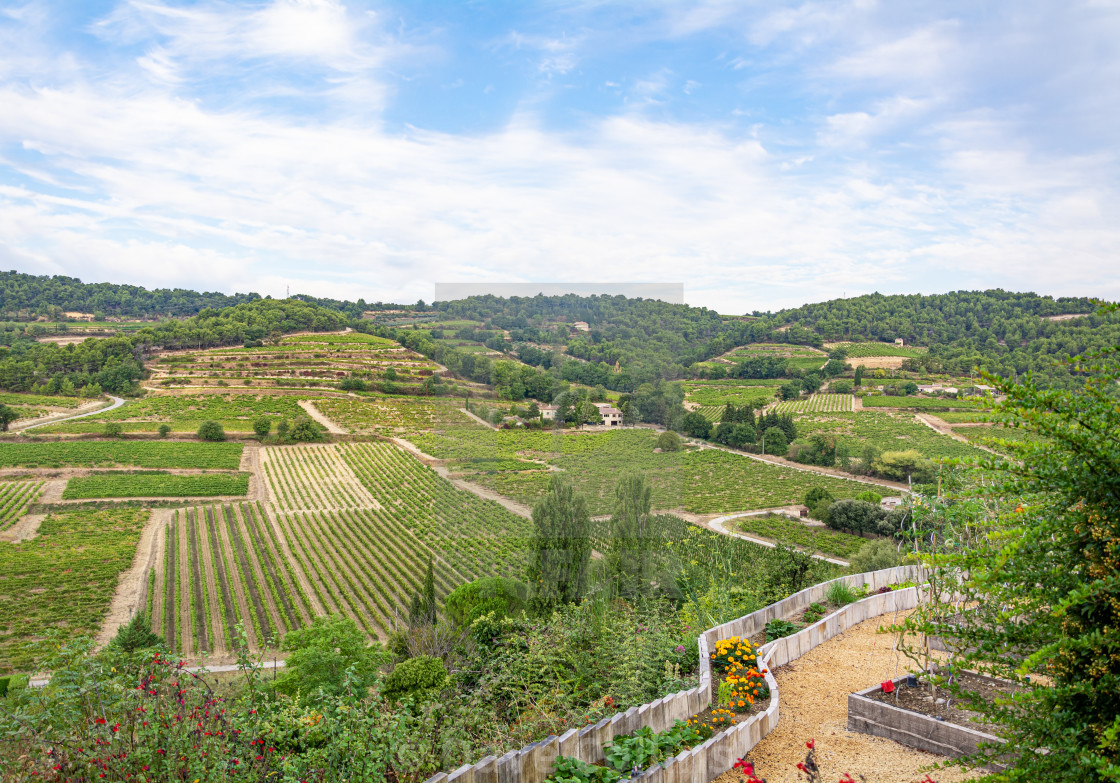 "Vines and Agriculture in the Rhone Valley, France" stock image