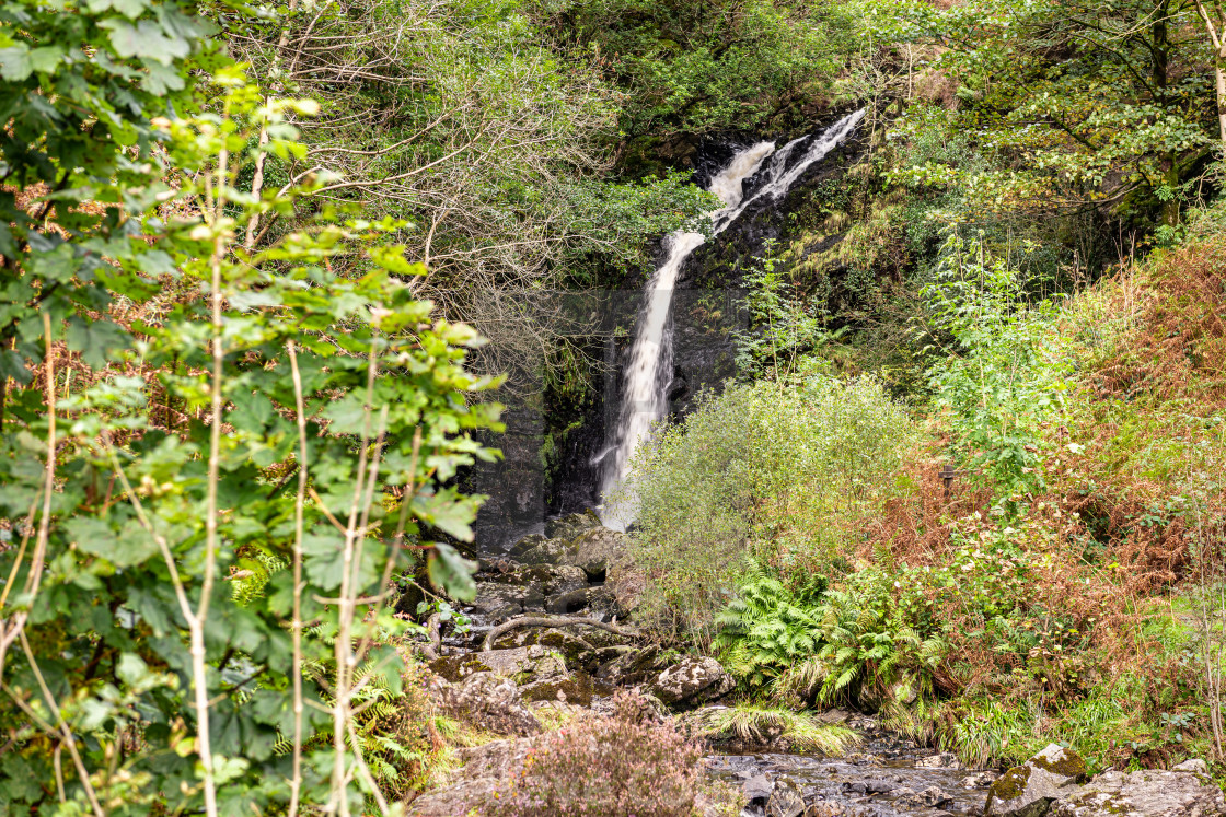 "Grey Mare's Tail waterfall on Grey Mare's Tail burn in The Galloway Forest park" stock image