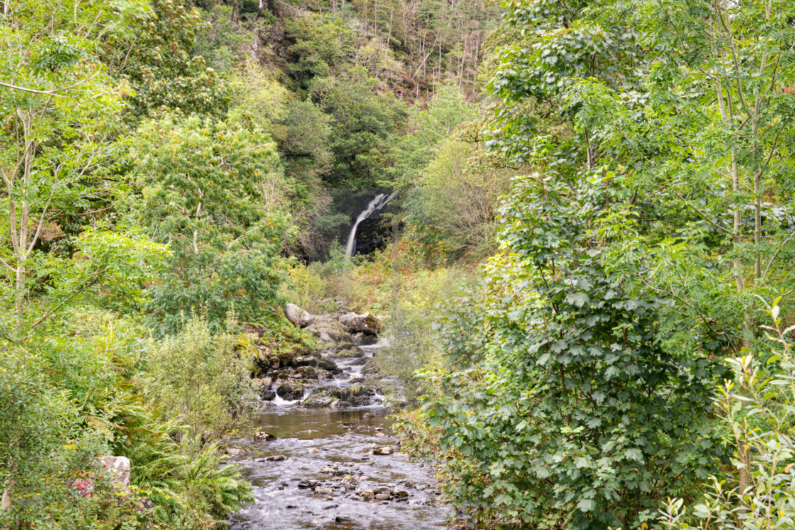 "Grey Mare's Tail burn with the Grey Mare's Tail waterfall on the background in The Galloway Forest park" stock image