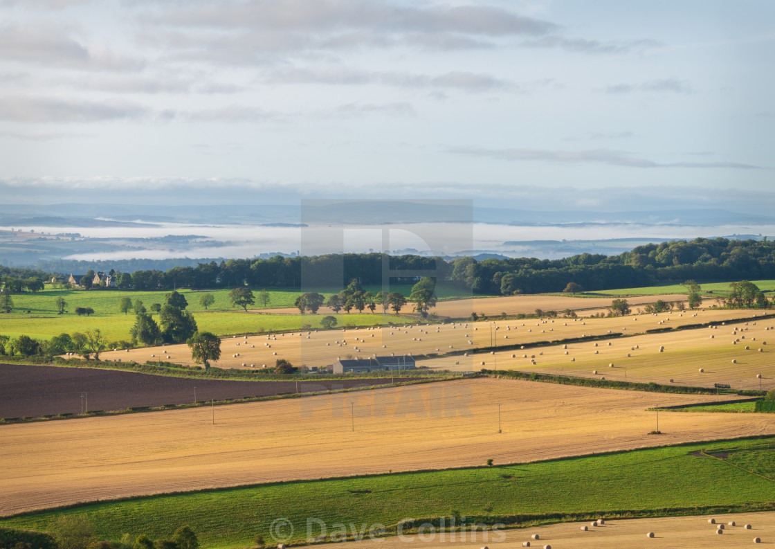 "Farmland after Harvest, Scottish Border, Scotland" stock image