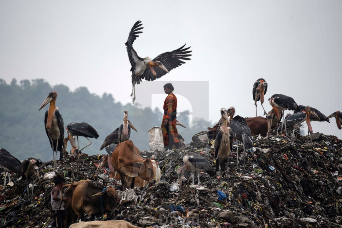 "Environmental issue" stock image