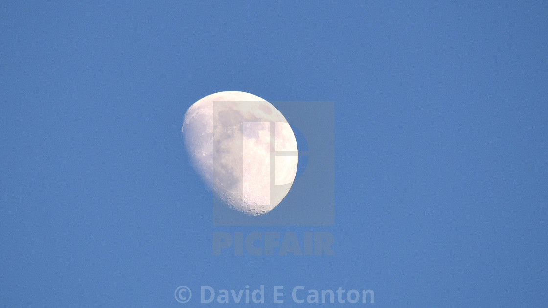 "The Moon on a June evening." stock image