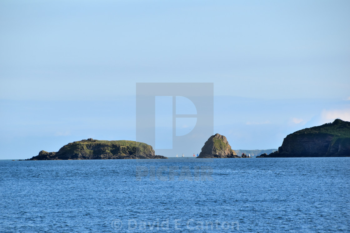 "Monkstone Head" stock image