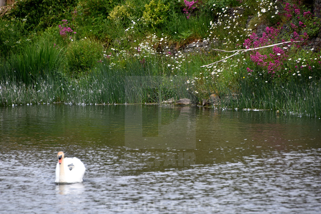 "On the river at Pembroke" stock image