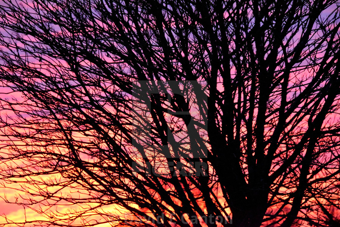 "February evening sky" stock image