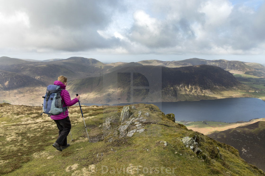 "Walker Approaching the Summit of Whiteless Pike, Lake District, UK" stock image