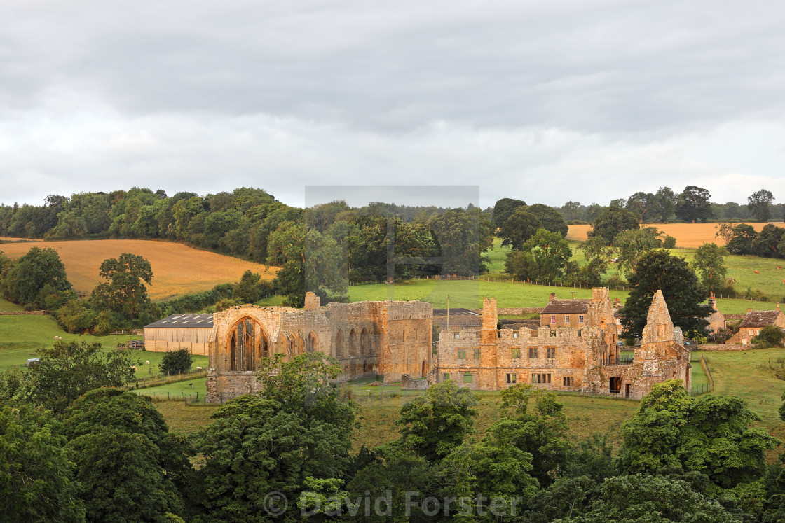 "Early Morning Light Illuminating the Ruins of Egglestone Abbey, UK" stock image