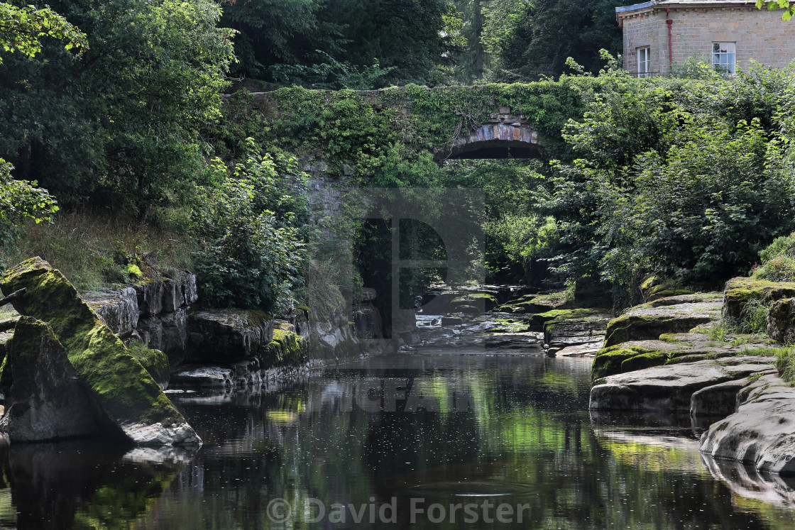 "The Dairy Bridge in Summer, Rokeby, Teesdale, County Durham, UK" stock image