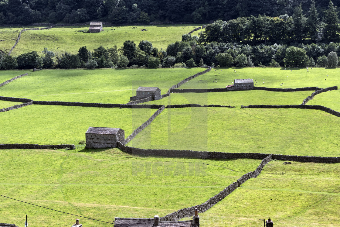 "Traditional Stone Barns, Gunnerside, Swaledale, Yorkshire, UK" stock image