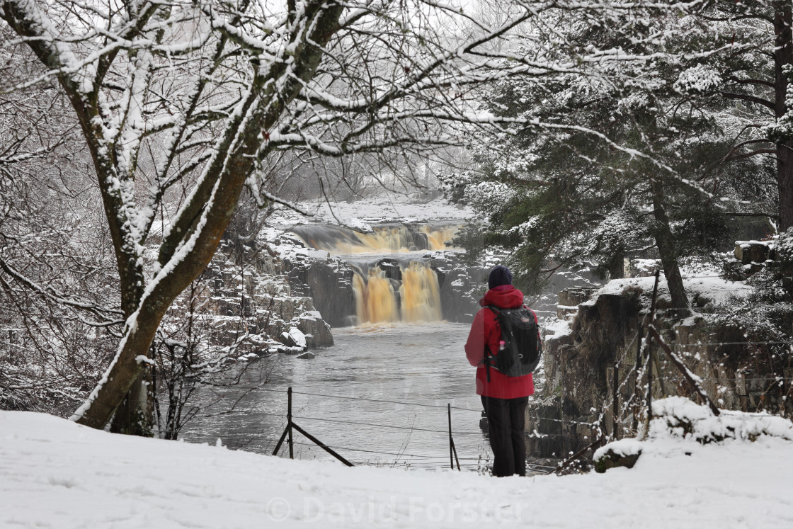 "Low Force in Winter, Teesdale, County Durham, UK" stock image