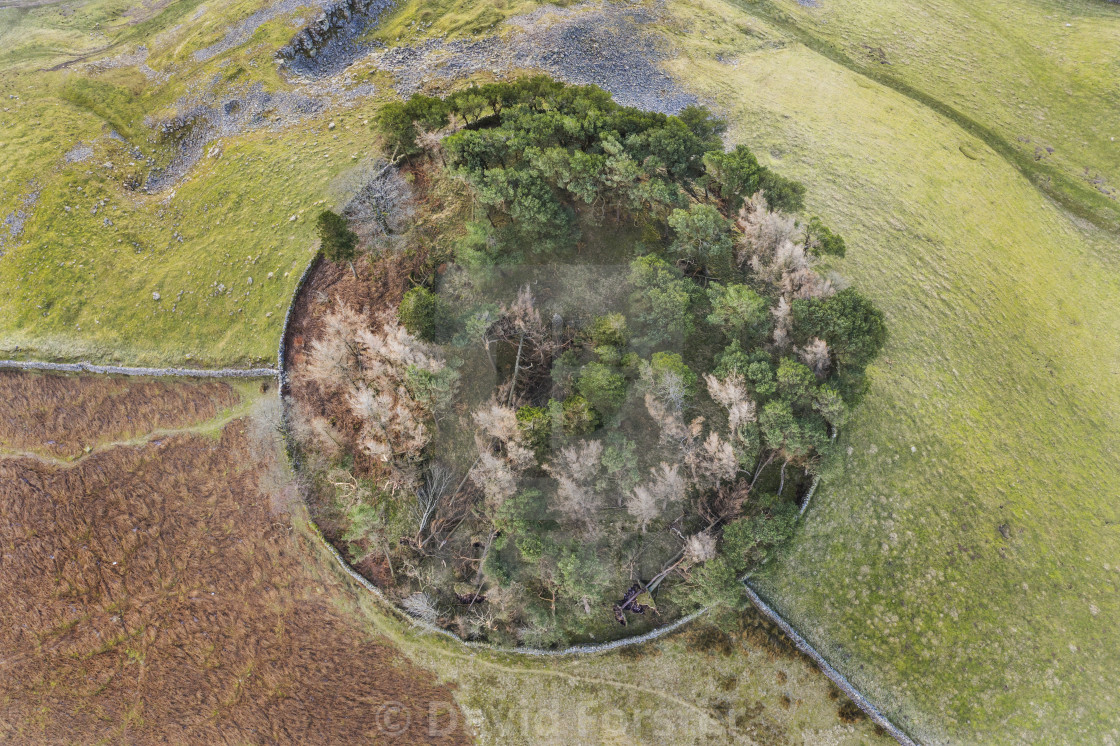 "The Ancient Burial Mound of Kirkcarrion, Teesdale, County Durham, UK" stock image