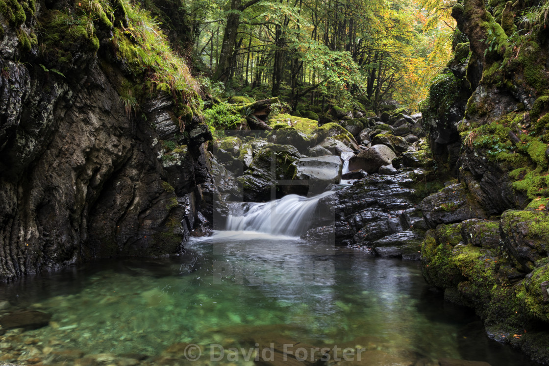 "d’Ars Autumn Stream, Ariege, Pyrenees, France, EU" stock image