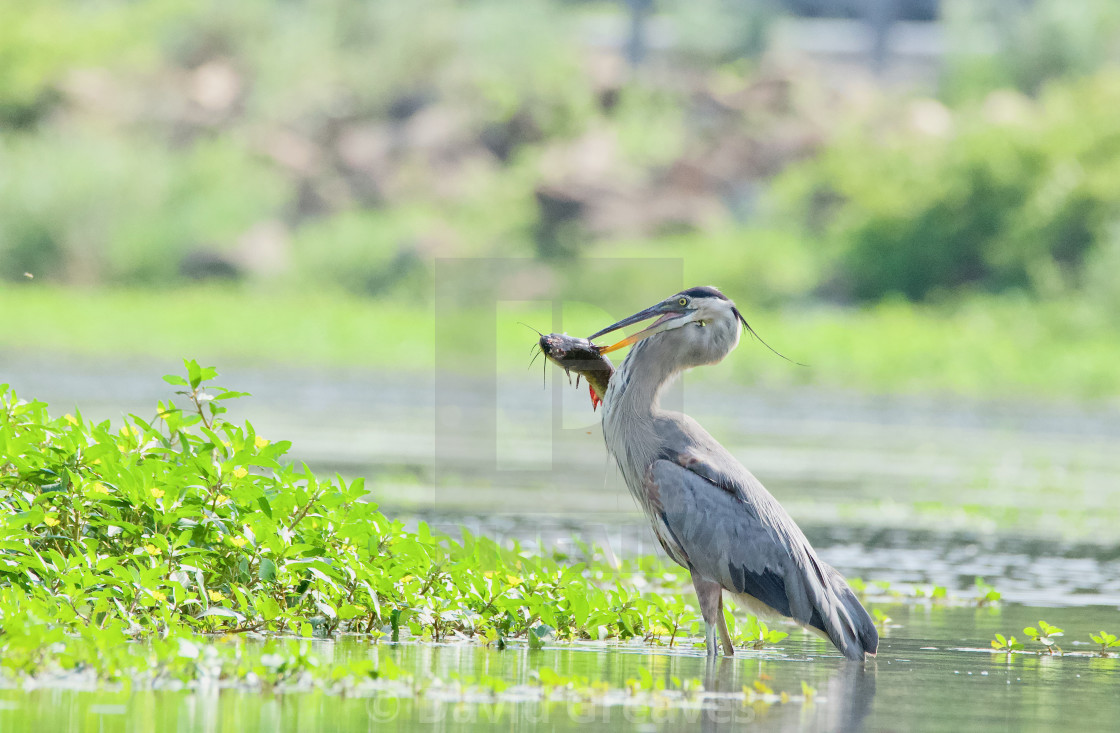 "Gone fishing" stock image