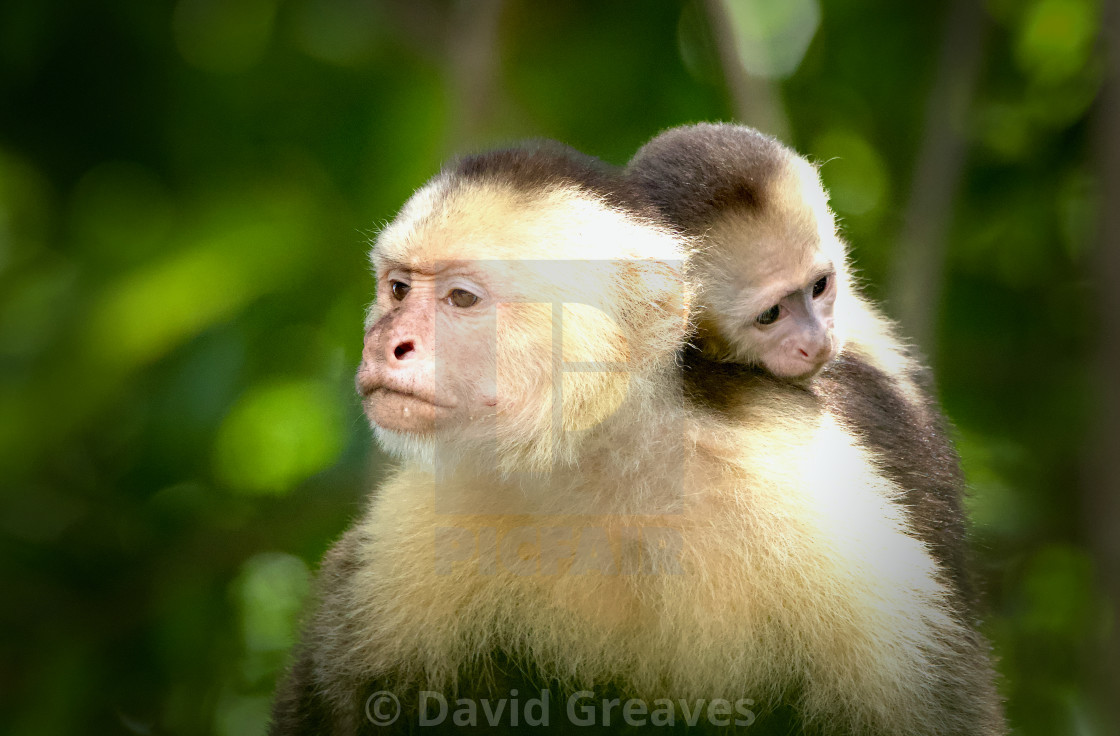 "A Hard Day" stock image