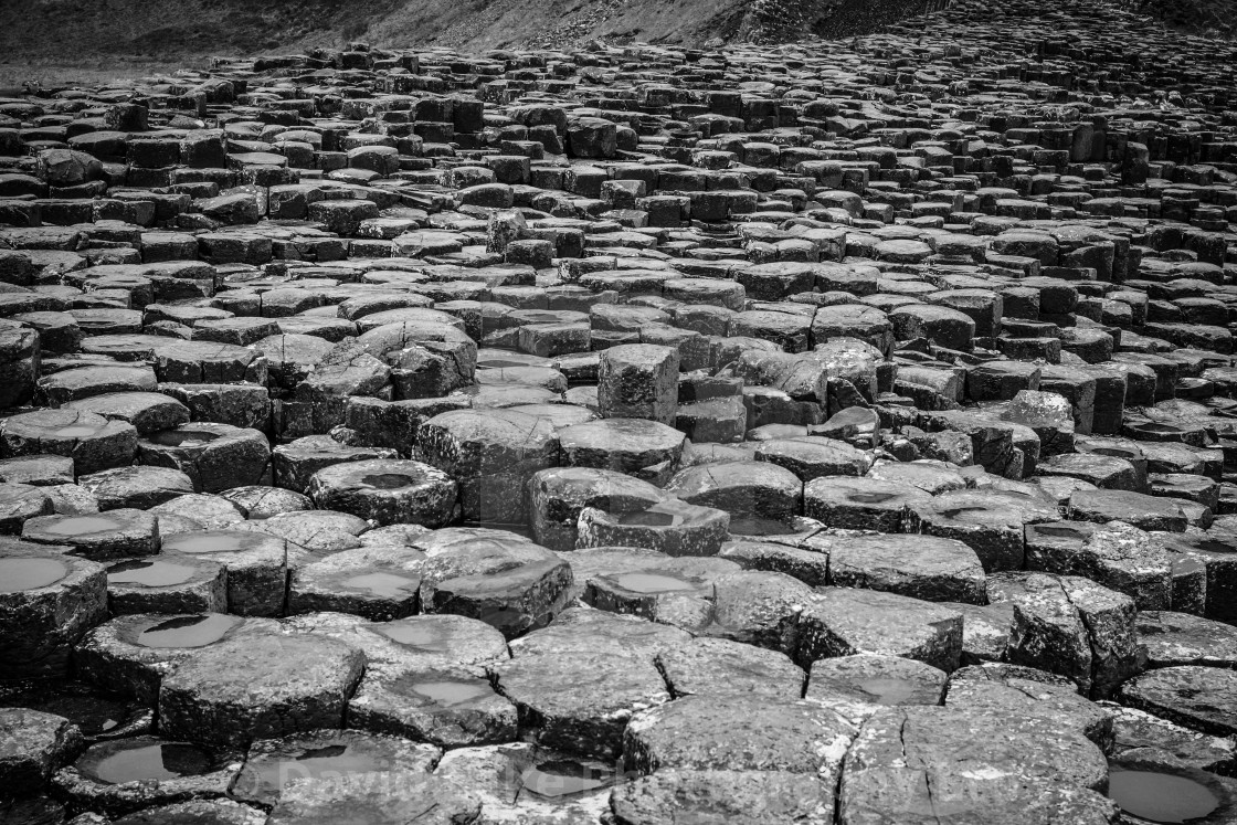 "My World - Giant’s Causeway, Northern Ireland" stock image