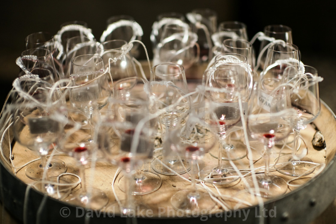 "My World - Wine Tasting, Bodega Garzon, Uruguay" stock image