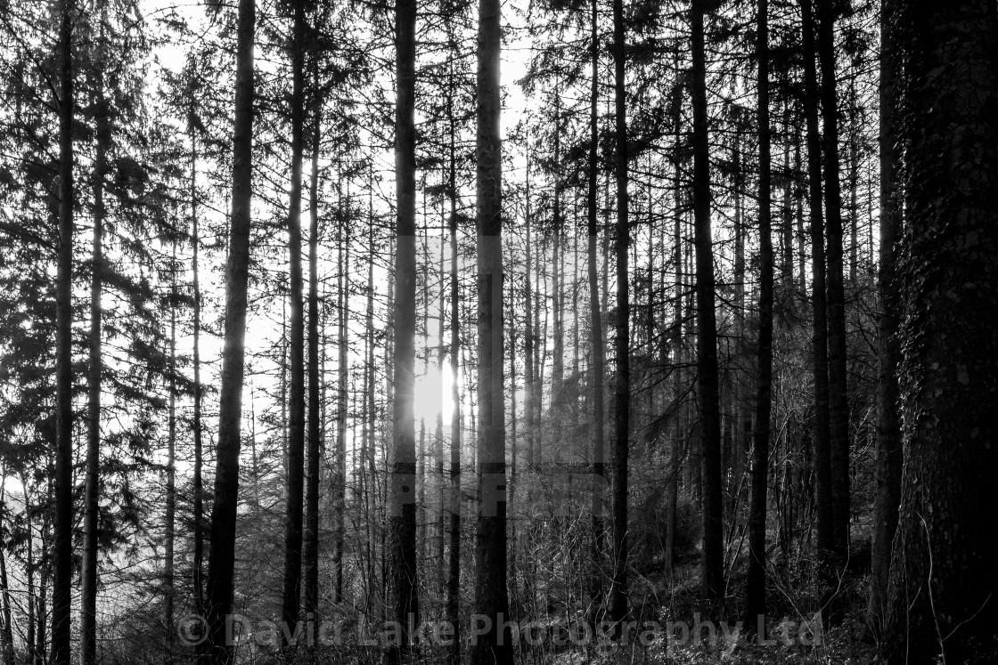 "My Manchester - Macclesfield Forest Landscape" stock image