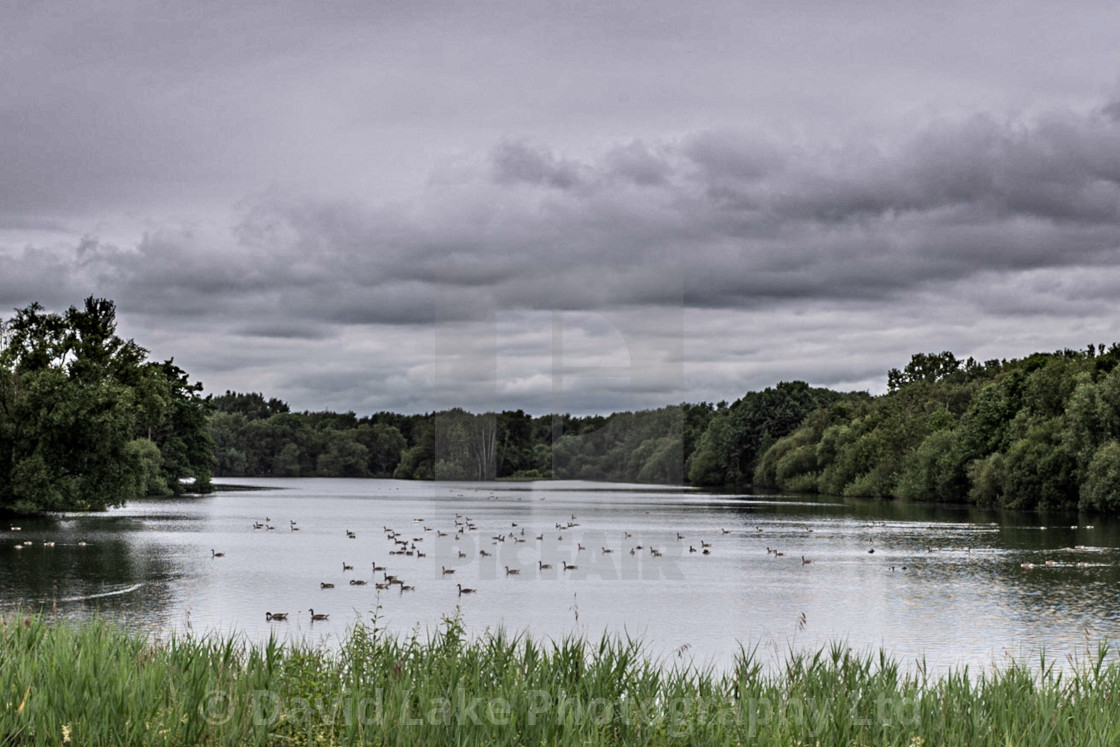 "My Manchester - Chorlton Water Park" stock image