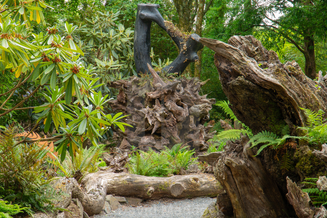 "RHS Rosemoor" by David Maddock - $15.17 "RHS Rosemoor" stock image