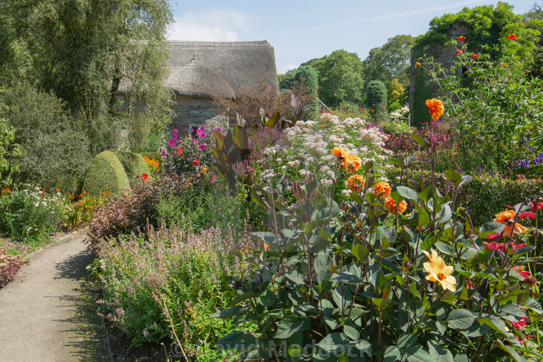 "Garden House Devon" by David Maddock - $15.17 "Garden House Devon" stock image