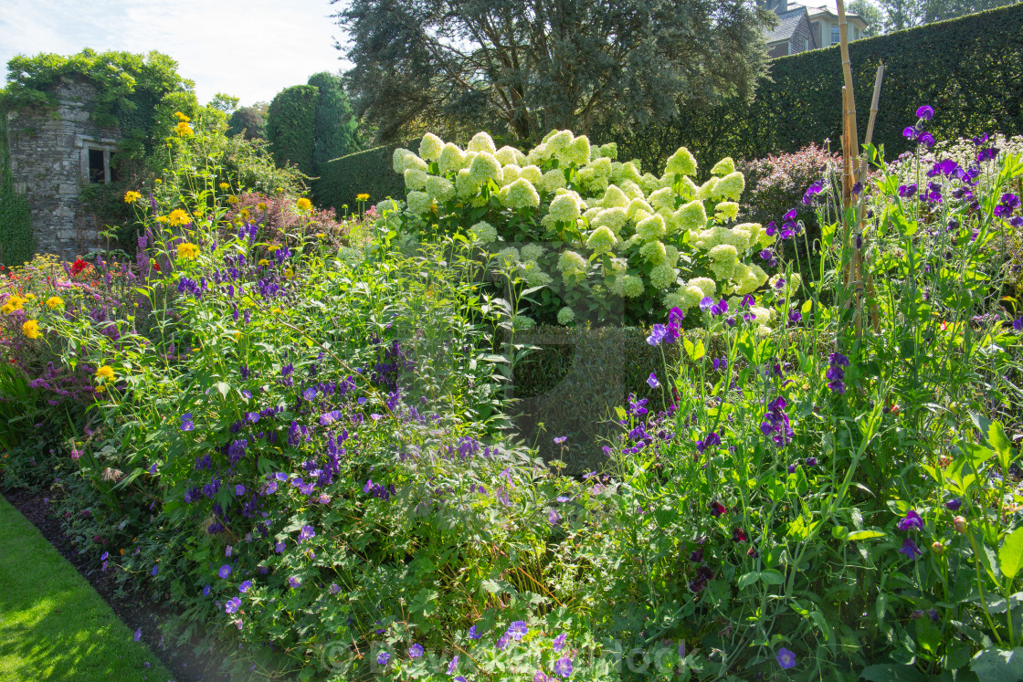 "Garden House, Devon" by David Maddock - $15.17 "Garden House, Devon" stock image