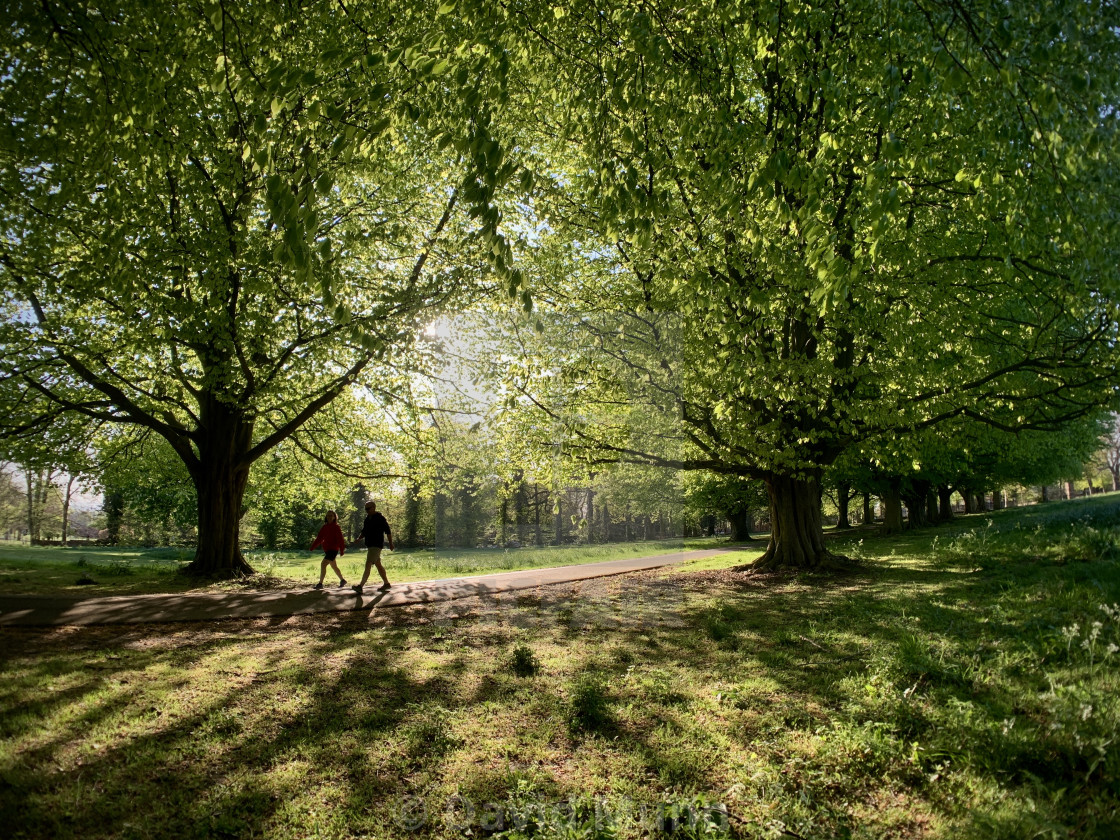 "The Sun going down in the park" stock image