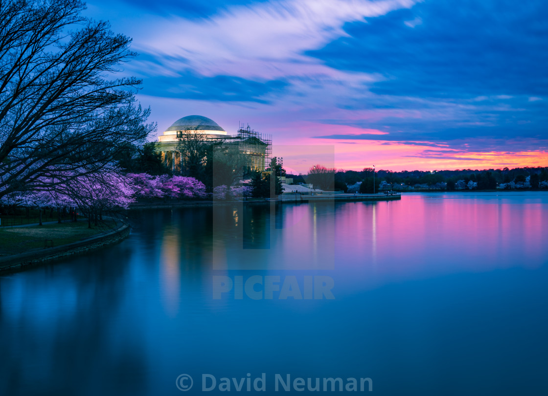 "Cherry Blossom Sunset" stock image