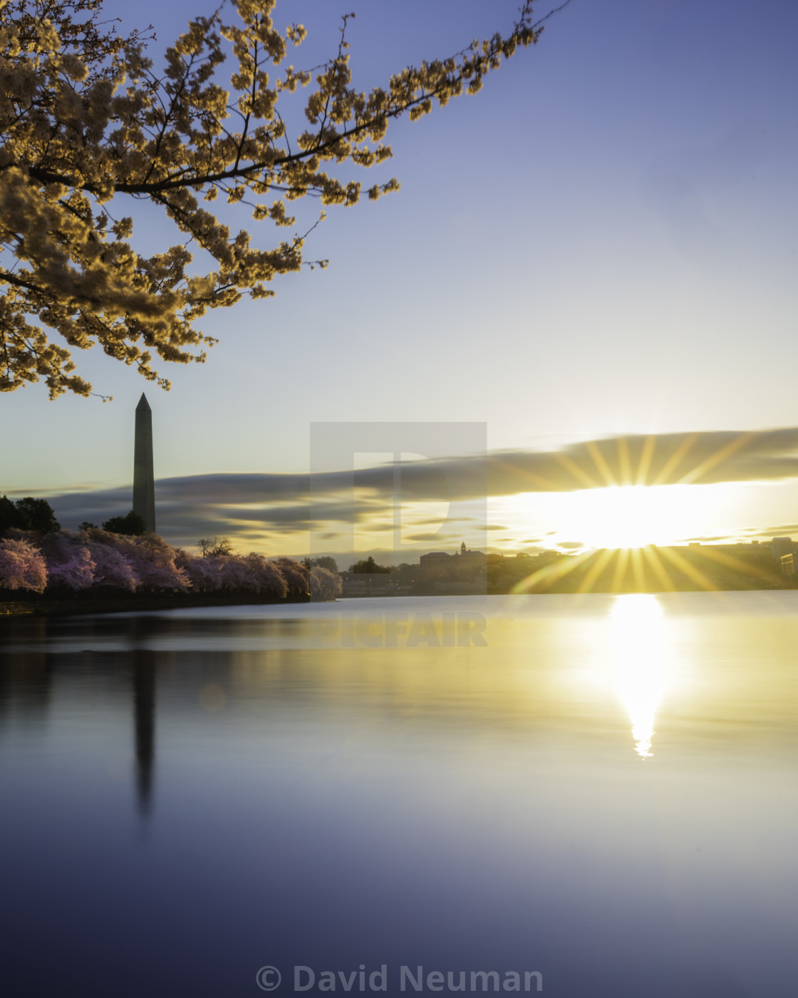 "Spring Morning" stock image