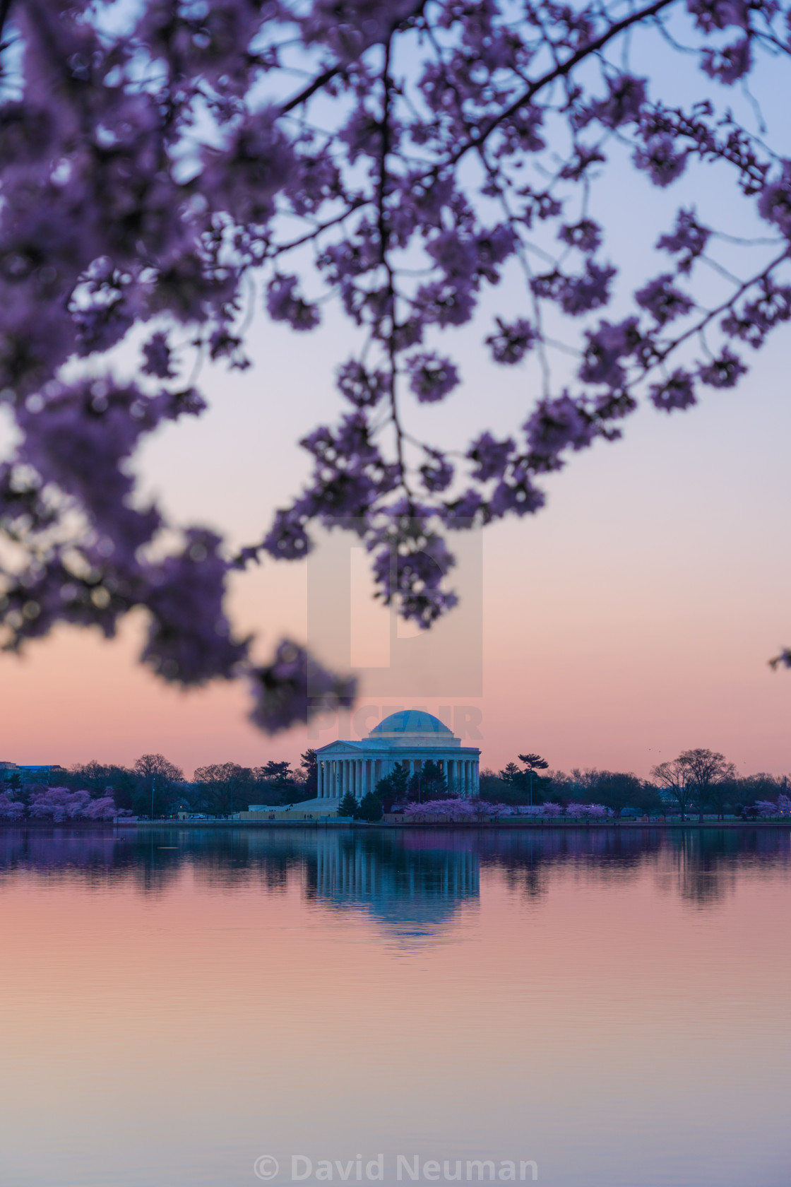 "DC in Bloom (Jefferson)" stock image
