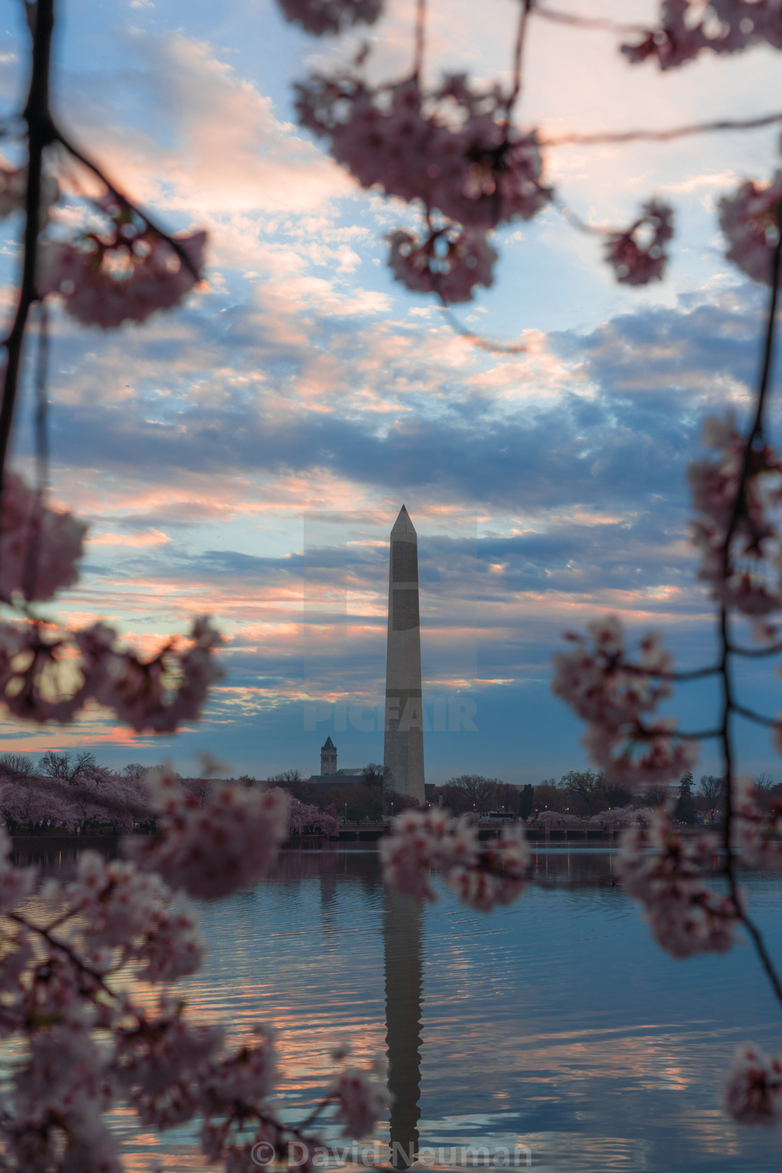 "Metro Blooming" stock image