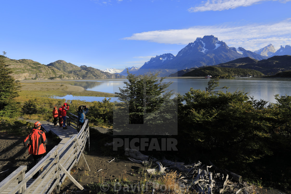 "View over Lago Grey, Torres del Paine National Park, Magallanes region,..." by David Porter - $18.83 "View over Lago Grey, Torres del Paine National Park, Magallanes region,..." stock image