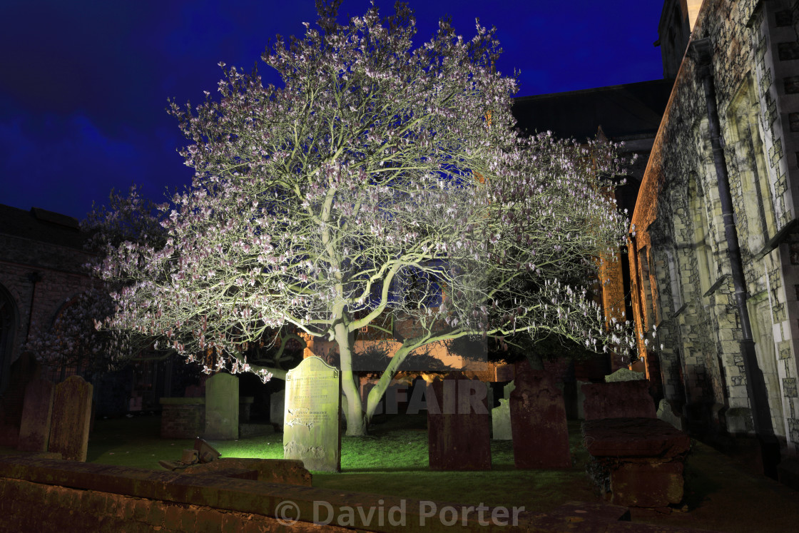 "Evening view over of Rochester Cathedral, Rochester City, Kent County,..." stock image