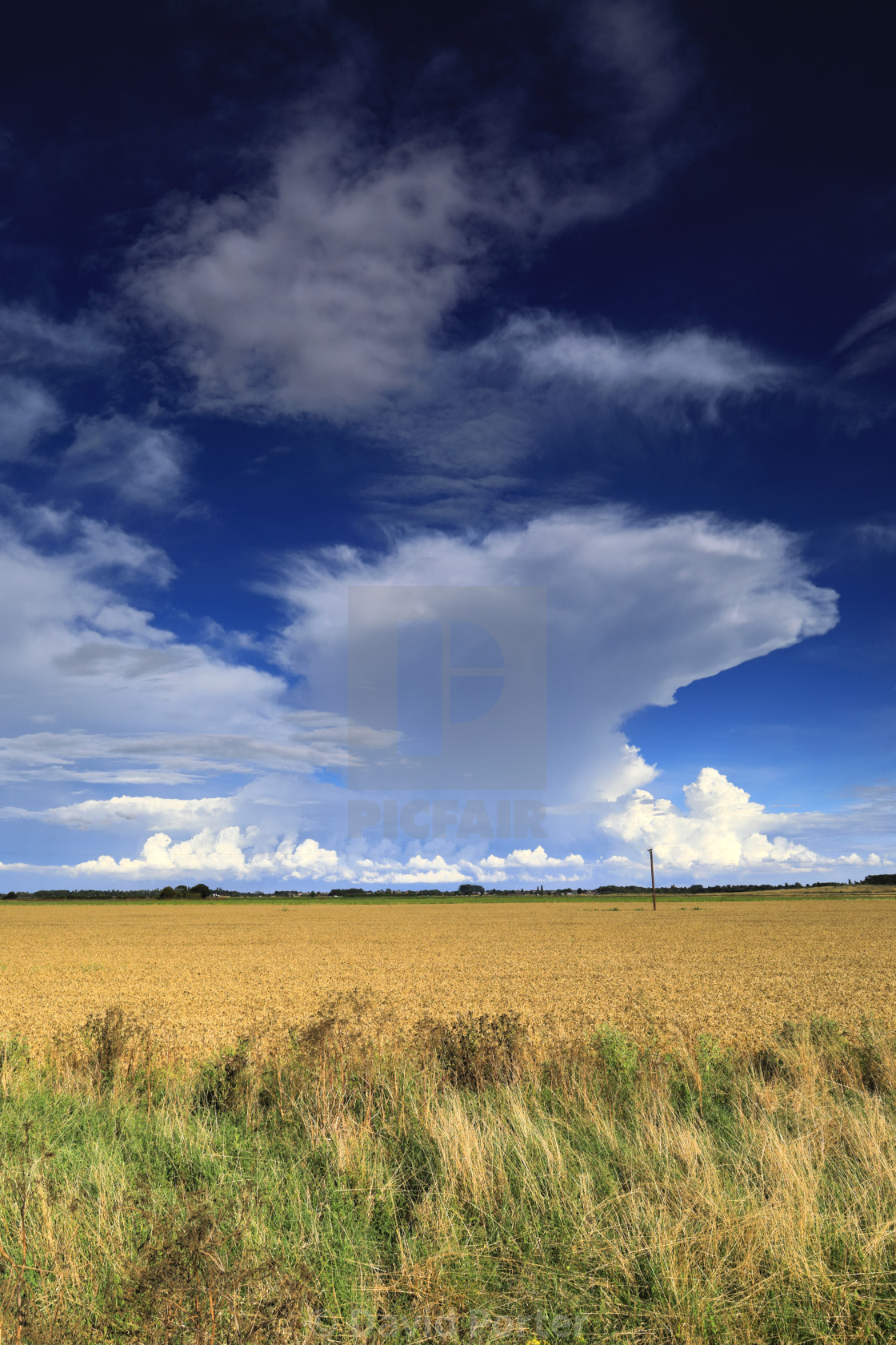 "Cumulonimbus Storm clouds over Fenland fields, near Wisbech town,..." stock image