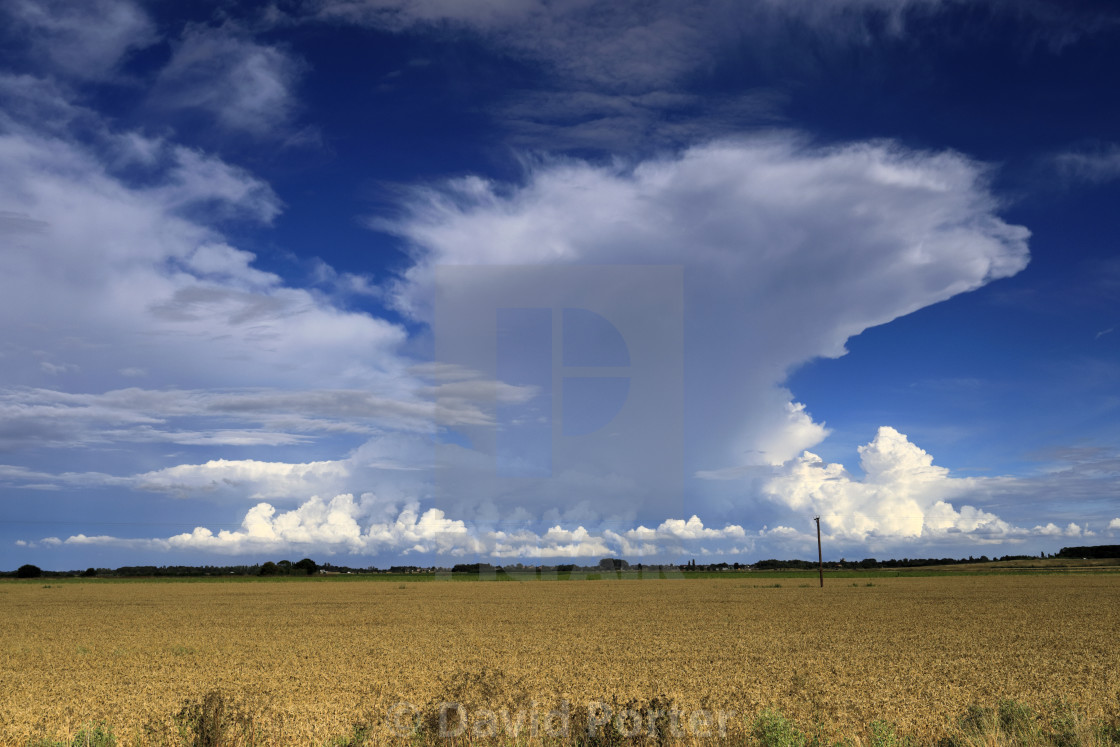 "Cumulonimbus Storm clouds over Fenland fields, near Wisbech town,..." stock image