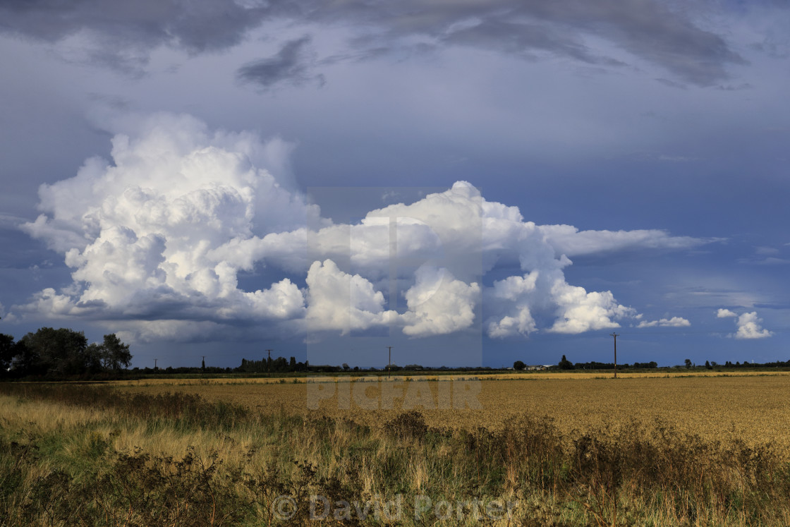 "Cumulonimbus Storm clouds over Fenland fields, near Wisbech town,..." stock image