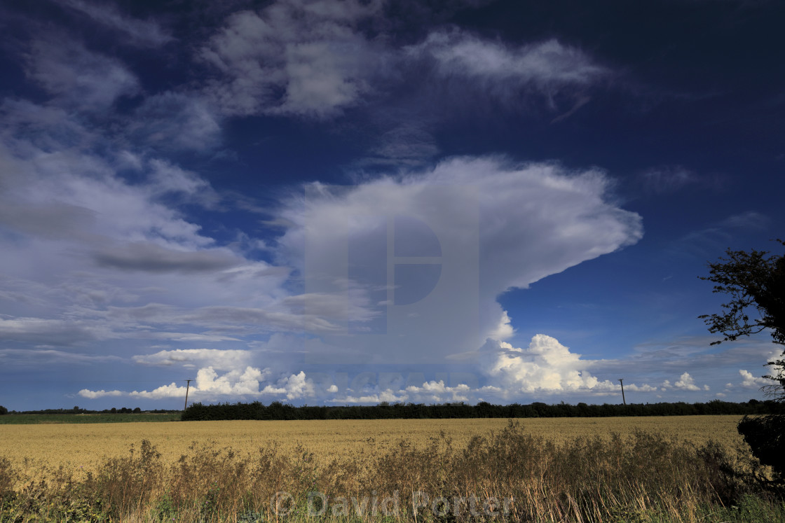 "Cumulonimbus Storm clouds over Fenland fields, near Wisbech town,..." stock image