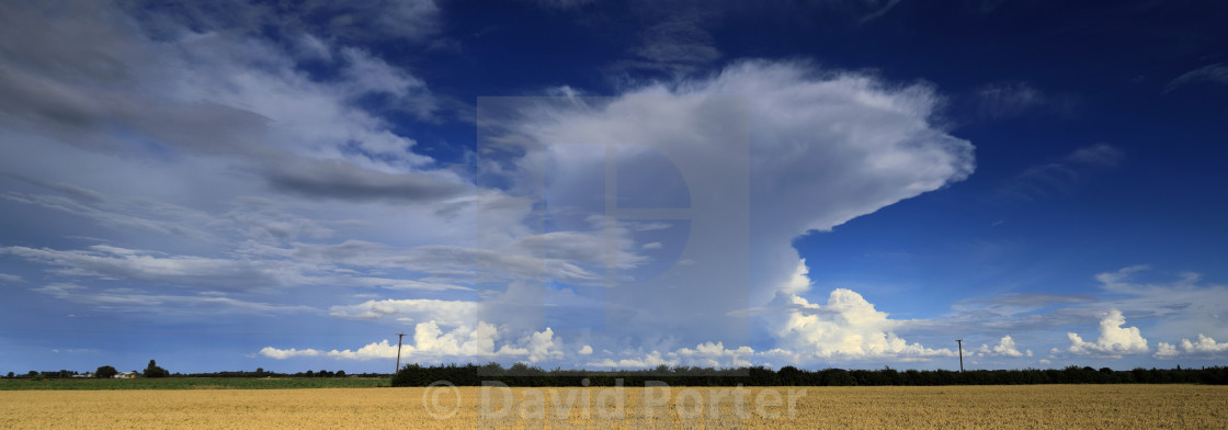 "Cumulonimbus Storm clouds over Fenland fields, near Wisbech town,..." stock image