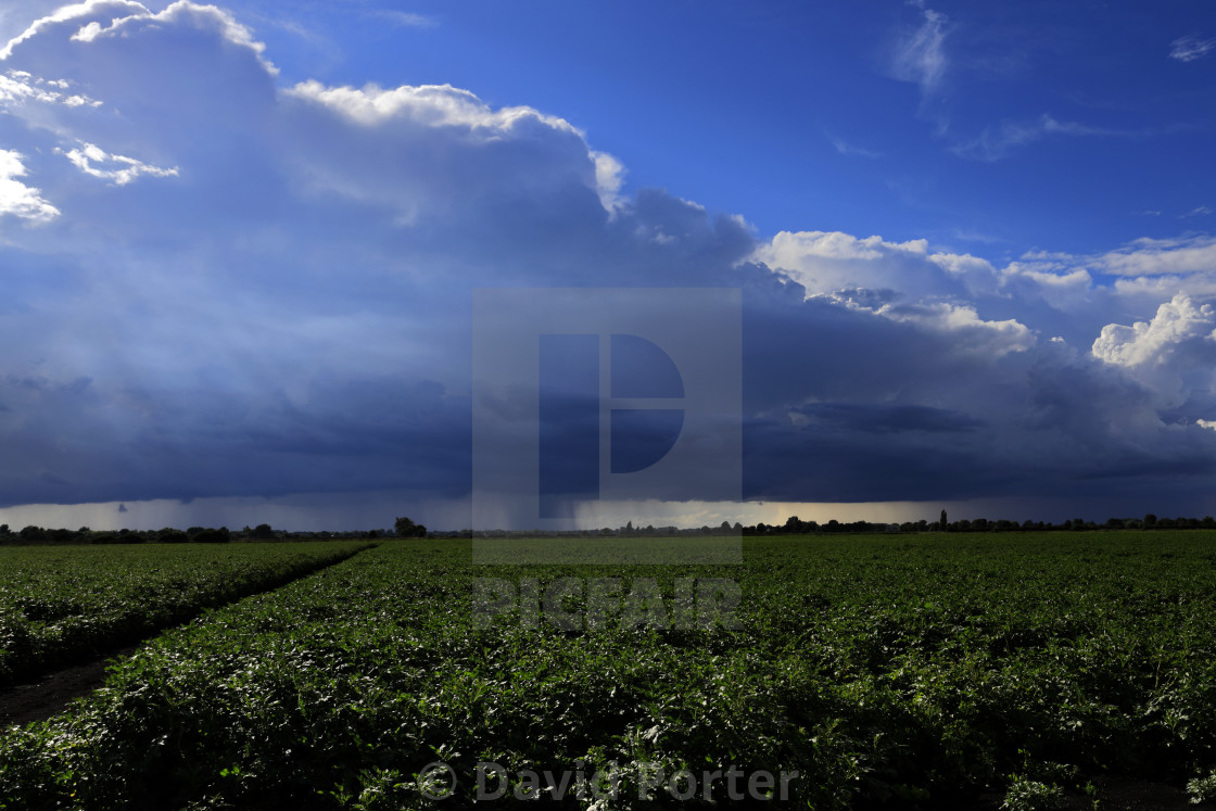 "Cumulonimbus Storm clouds over Fenland fields, near Wisbech town,..." stock image