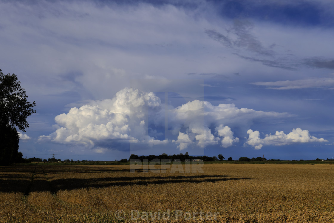 "Cumulonimbus Storm clouds over Fenland fields, near Wisbech town,..." stock image