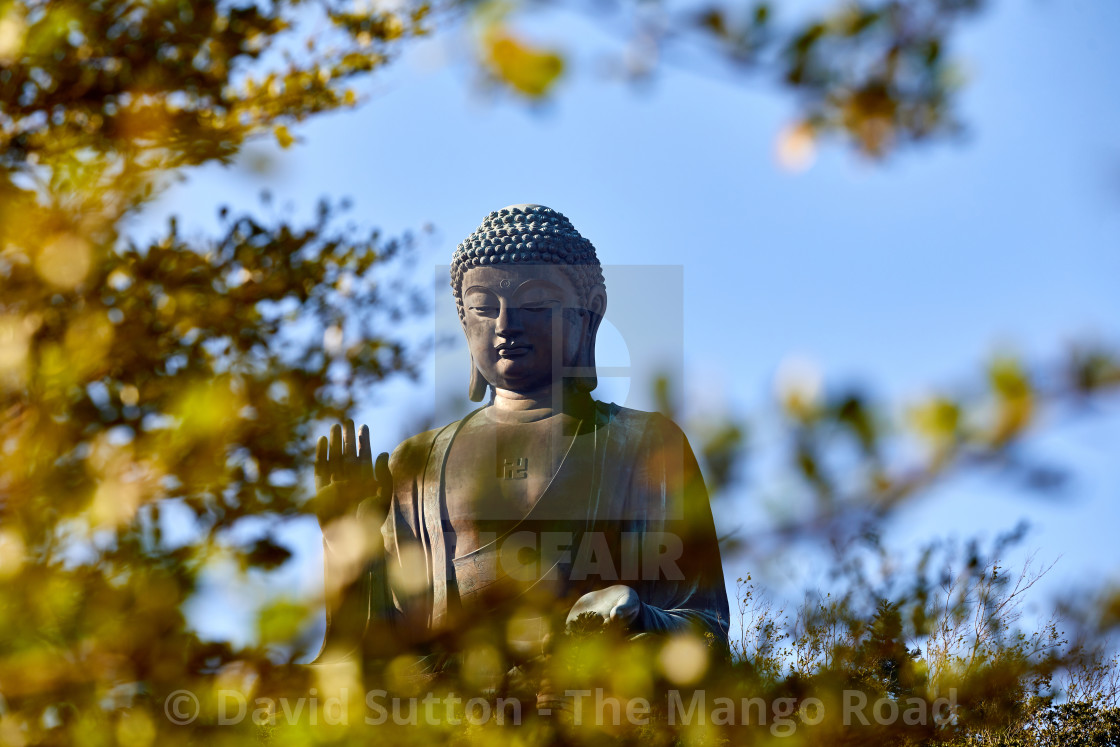 "Tian Tan Buddha, also known as the Big Buddha at the Po Lin Monastery on..." stock image