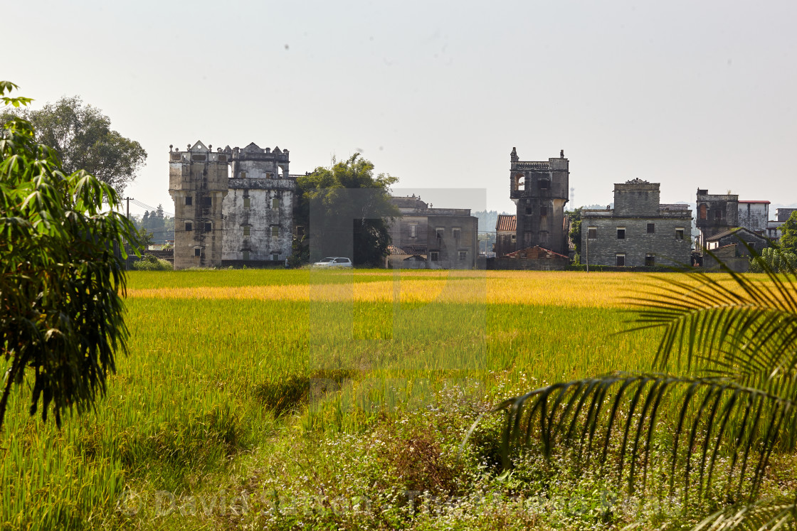 "Agricultural scene Kaiping, Southern China" stock image