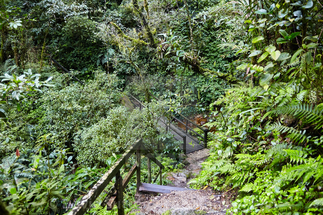 "Climbing Mt Kinabalu" stock image