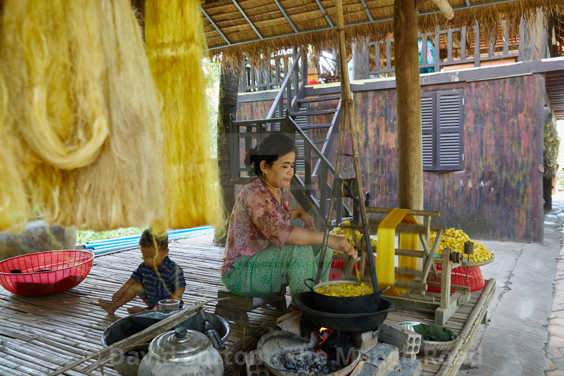 "Silk spinning on Kao Dach" stock image