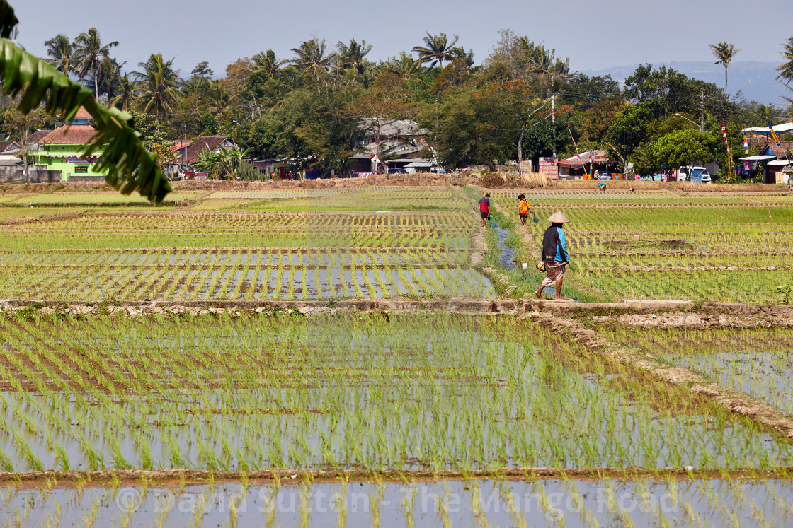 "Ambawara, Indonesia" stock image