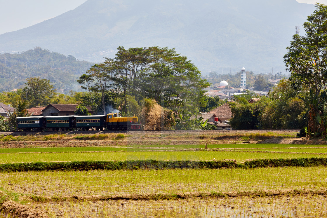"Ambawara, Indonesia" by David Sutton - The Mango Road - $29.89 "Ambawara, Indonesia" stock image
