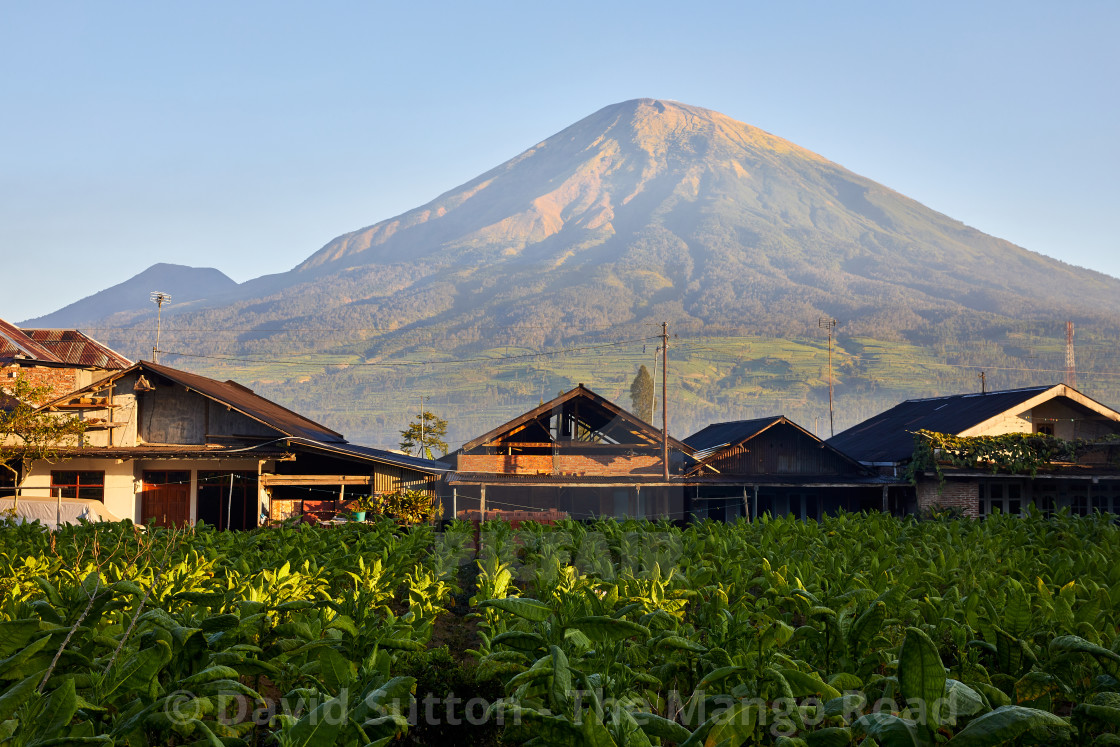 "Kledung Pass, Indonesia" stock image