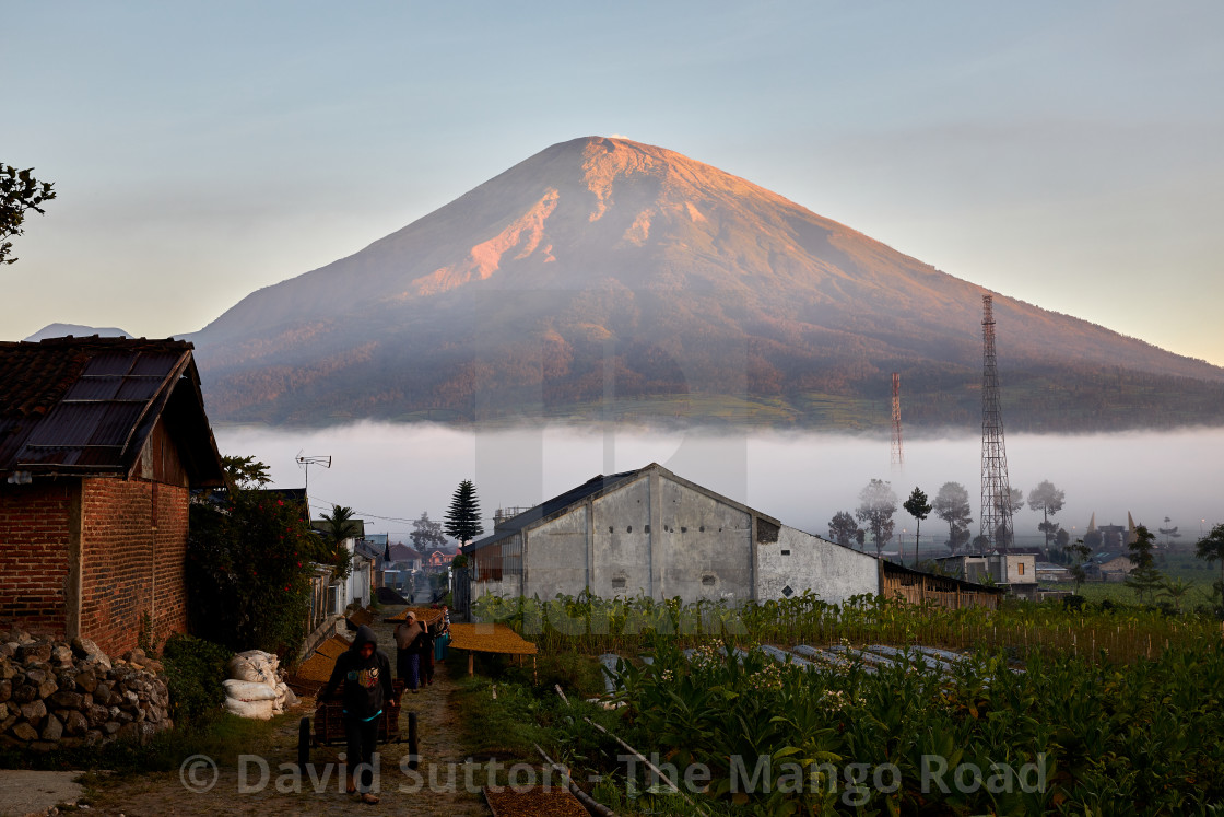 "Kledung Pass, Indonesia" stock image