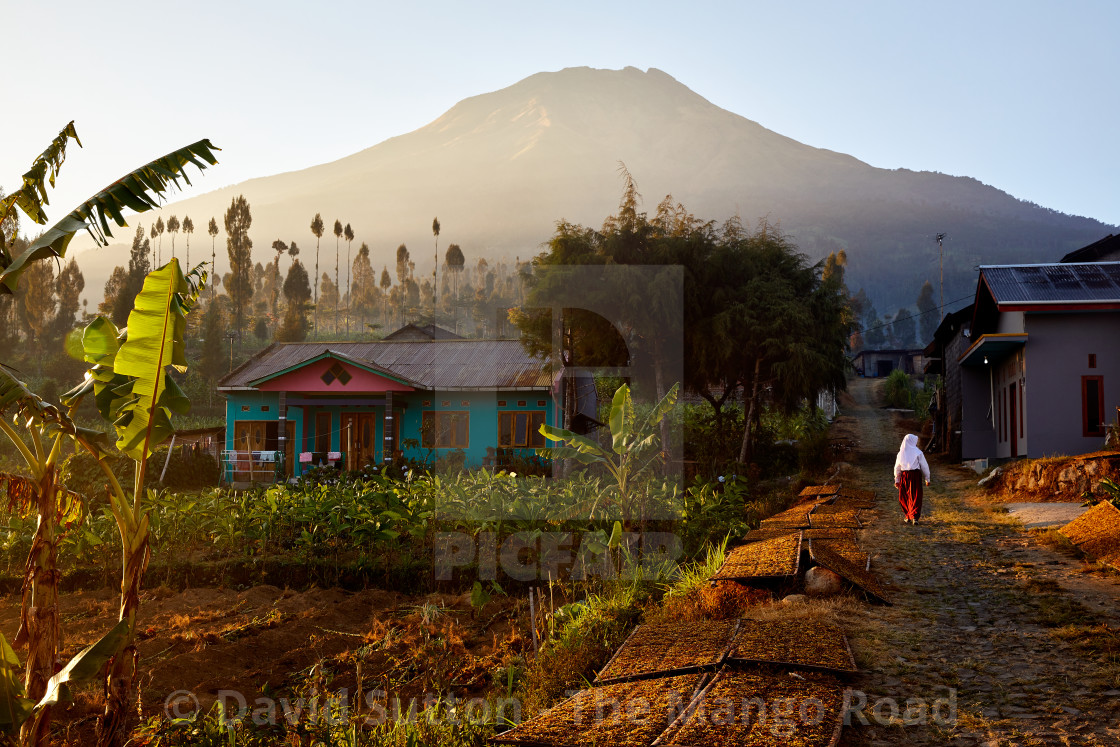 "Kledung Pass, Indonesia" stock image